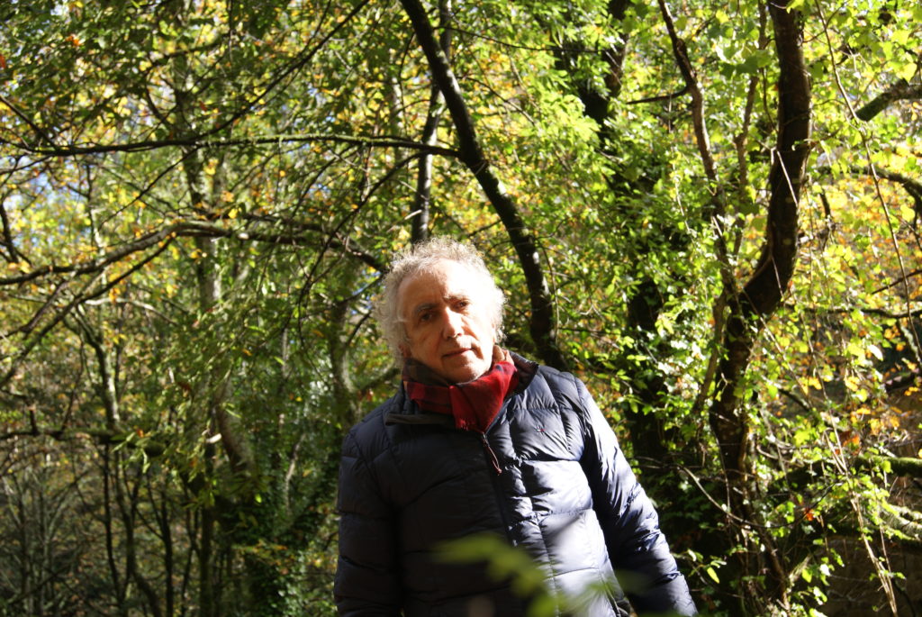 Luis Cachafeiro