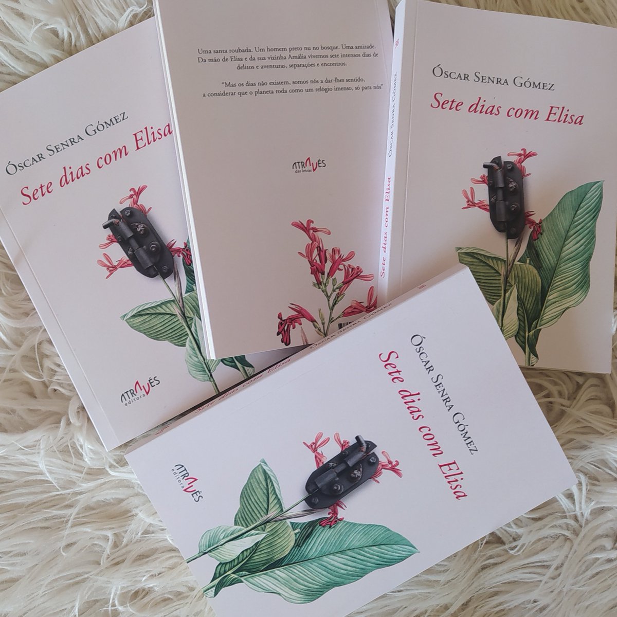 sete-dias-com-elisa