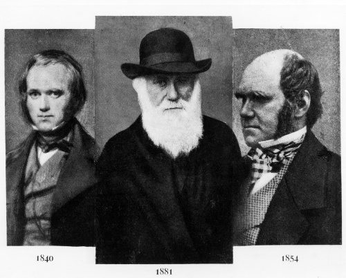 charles-darwin-em-3-etapas-da-sua-vida