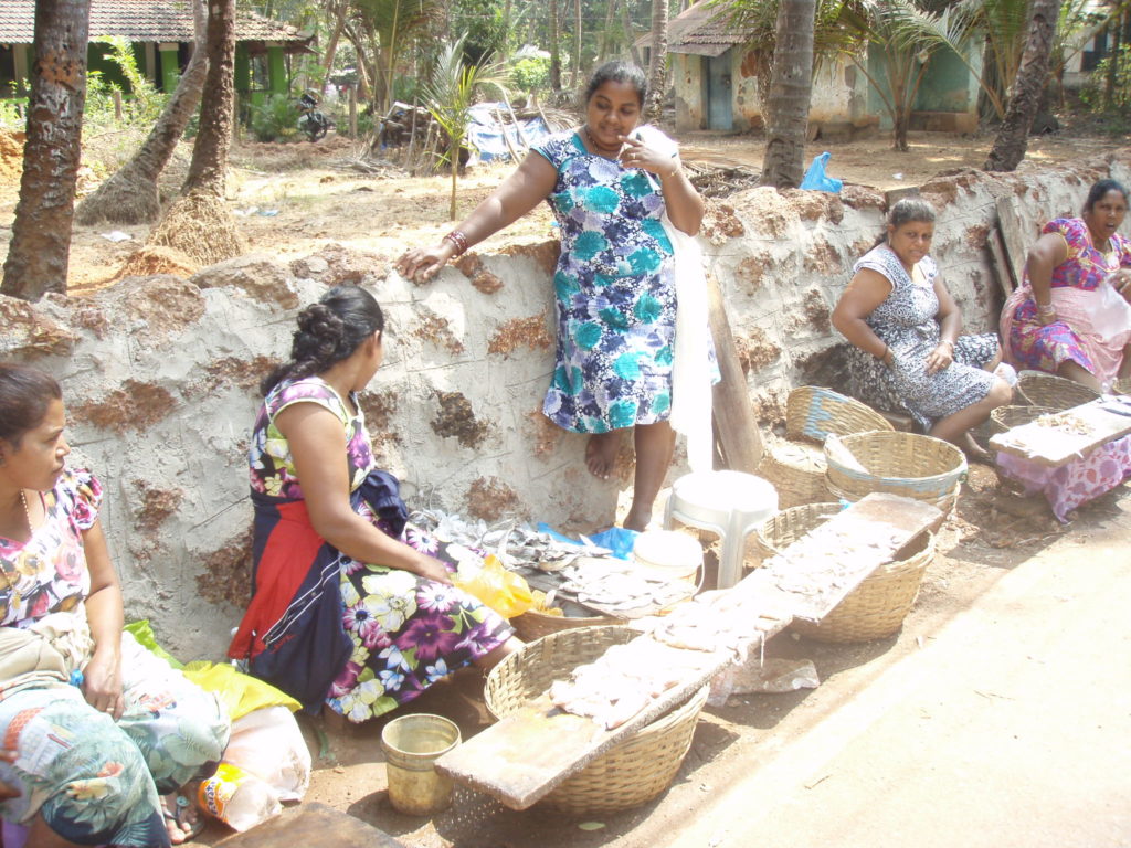 Mulheres vendedoras de peixe em Goa.